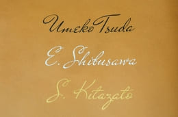 ヌメ／スムース